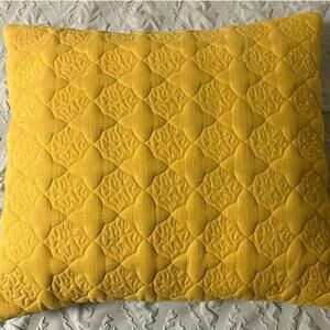 Crate & barrel throw pillow